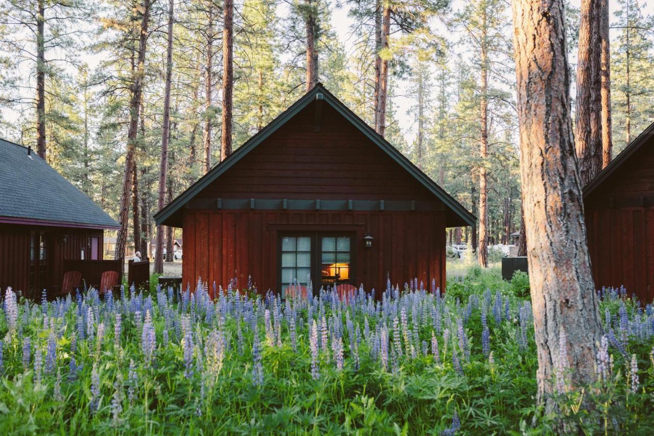 Fivepine Lodge シスターズ エクステリア 写真