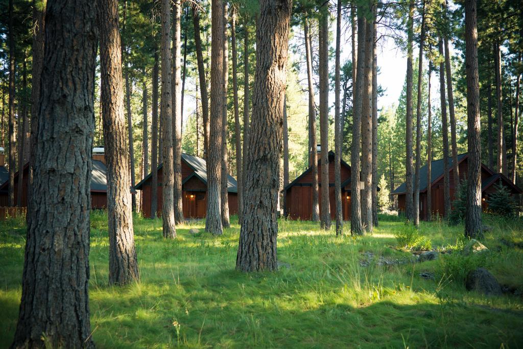 Fivepine Lodge シスターズ エクステリア 写真